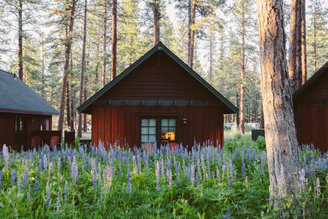 Fivepine Lodge Sisters Exterior photo